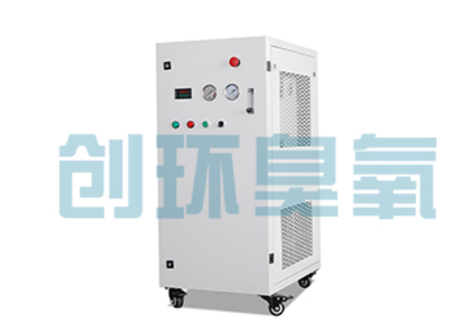 崇左石斑鱼养殖水质调控完整指南：臭氧发生器配置与操作步骤