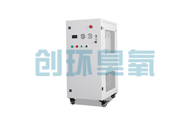 崇左比传统换水更高效？臭氧发生器在石斑鱼养殖中的水质净化原理解析